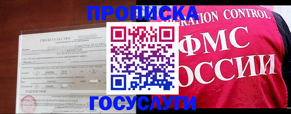 временная регистрация поиск в Лузе